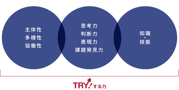 TRY!する力